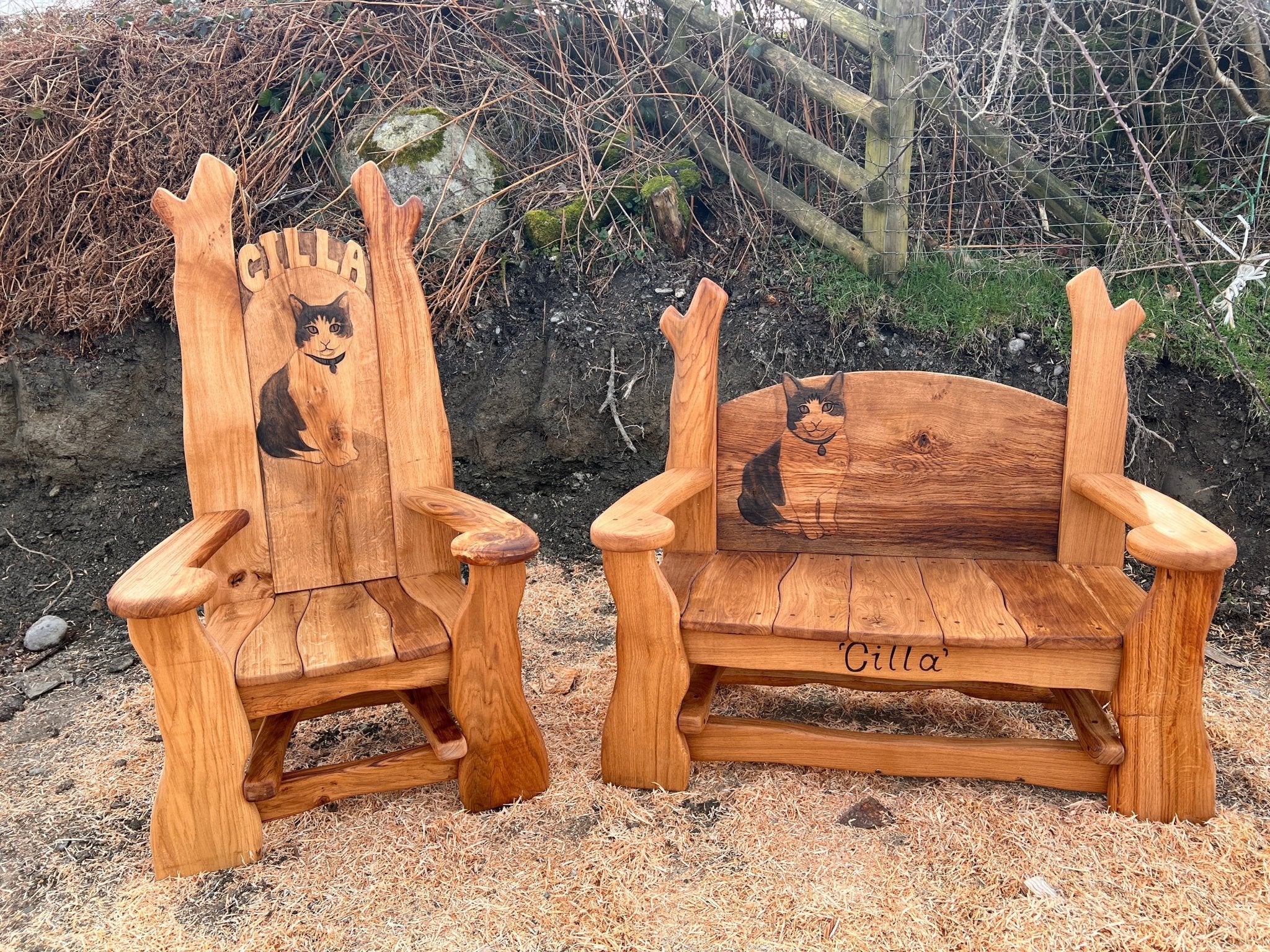 Bespoke memorial oak storytelling chair featuring a carved image of a school cat, placed in an outdoor classroom setting with log stools