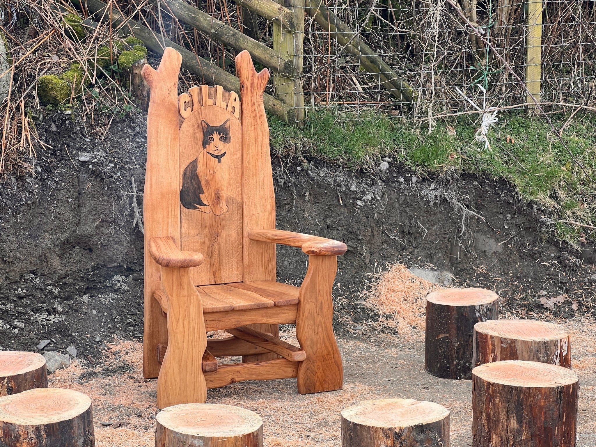 Handcrafted wooden storytelling chair with engraved portrait of Cilla the school cat, surrounded by rustic log seats in an outdoor learning space