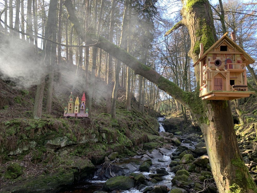 Maison de fée sur une branche d'arbre près d'un ruisseau