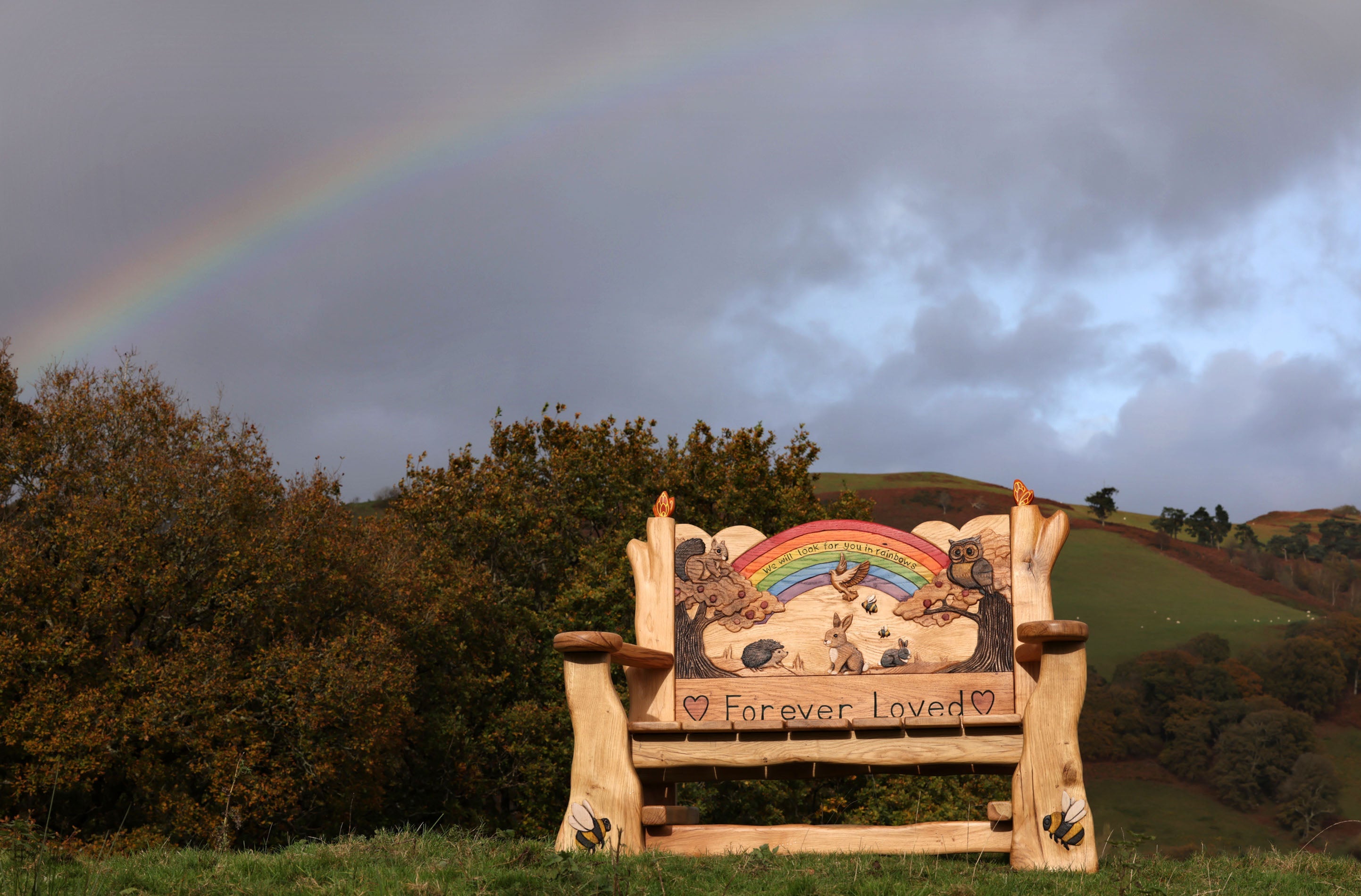 Wooden bench with a mural of a rainbow and animals under a rainbow in a natural setting.