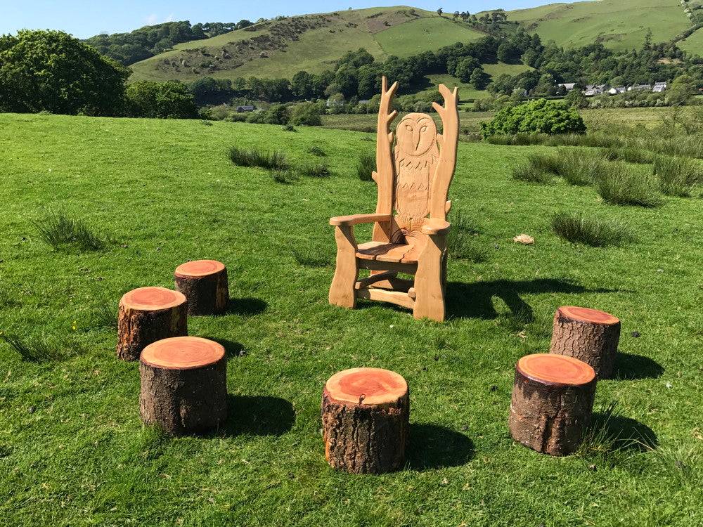 Owl storytelling chair with log seating circle