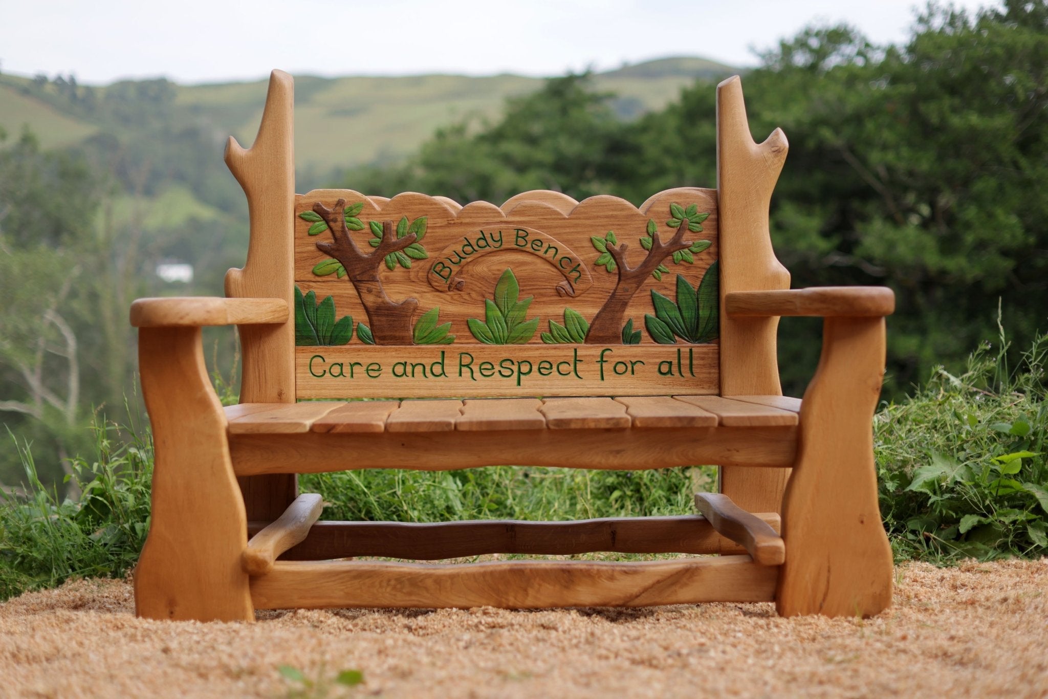 buddy bench in school field
