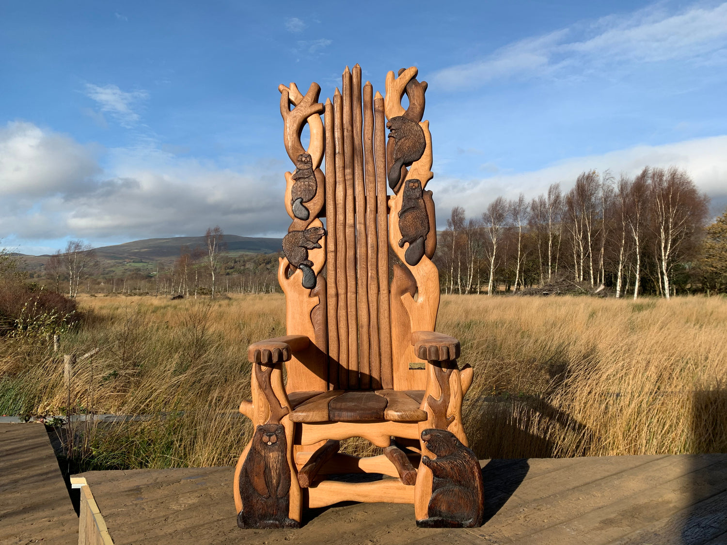 beaver chair for osprey project