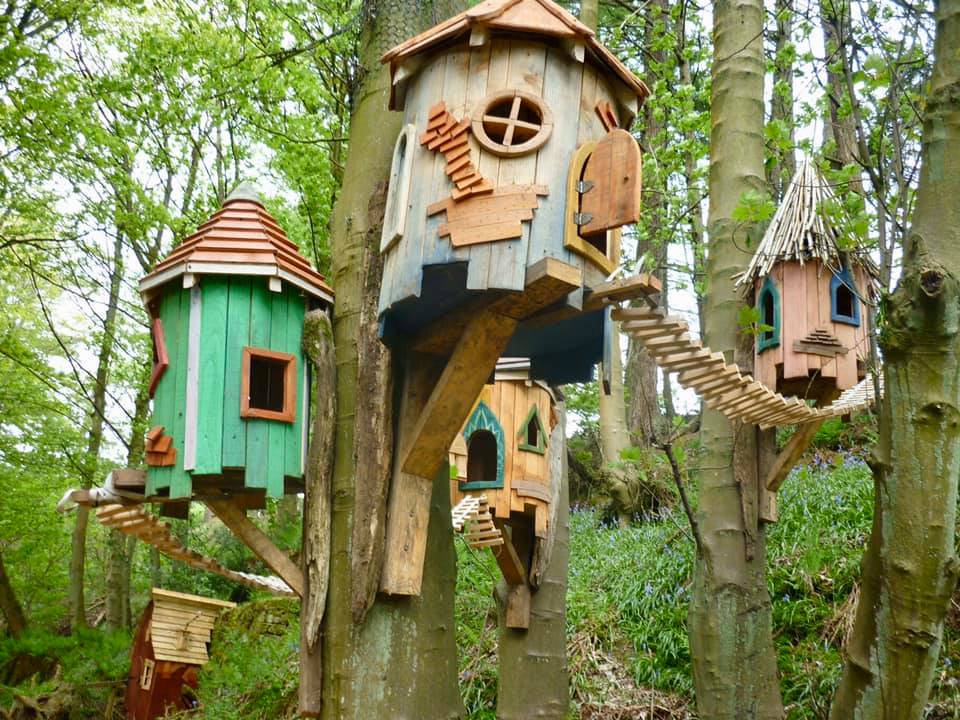 Tree-mounted fairy houses with whimsical design