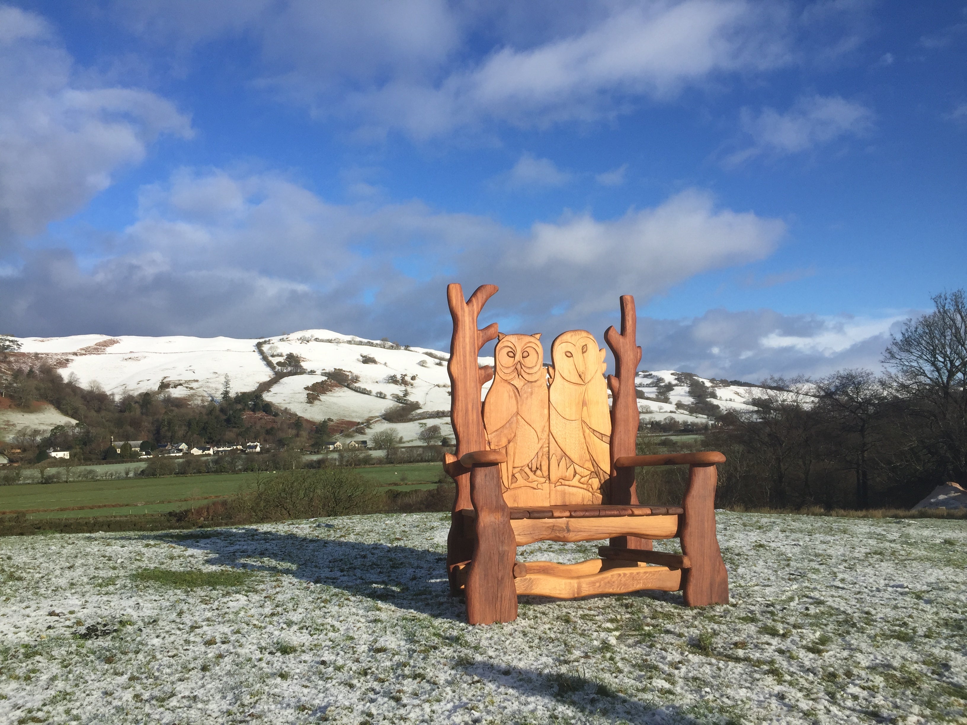 Chaises sculptées à la main célébrant les animaux du monde naturel