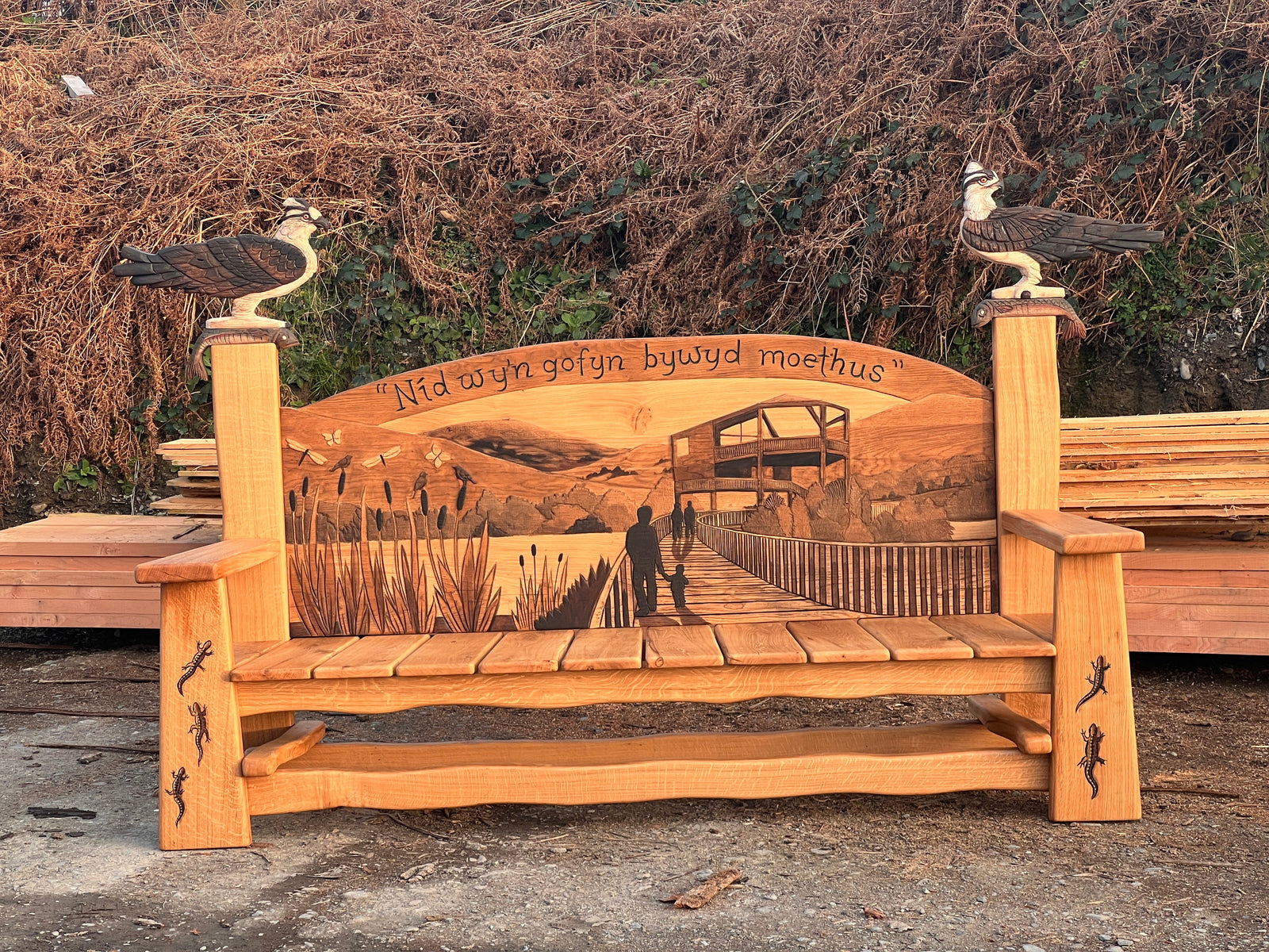 Wide shot of the carved oak bench installed at Cors Dyfi Wildlife Hide