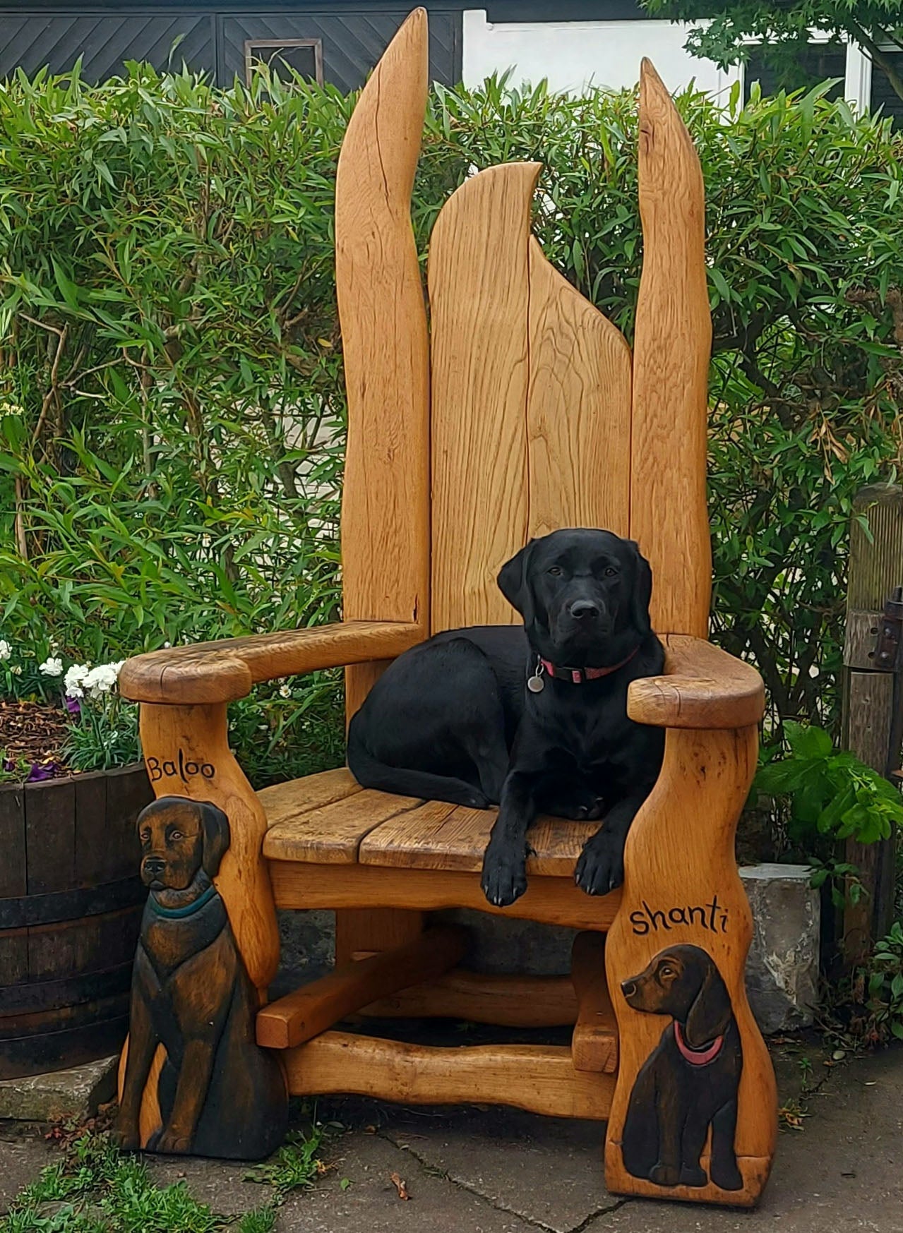 Hand-carved oak elven storytelling chair with pointed arch backrest and woodland details — handmade in Mid Wales