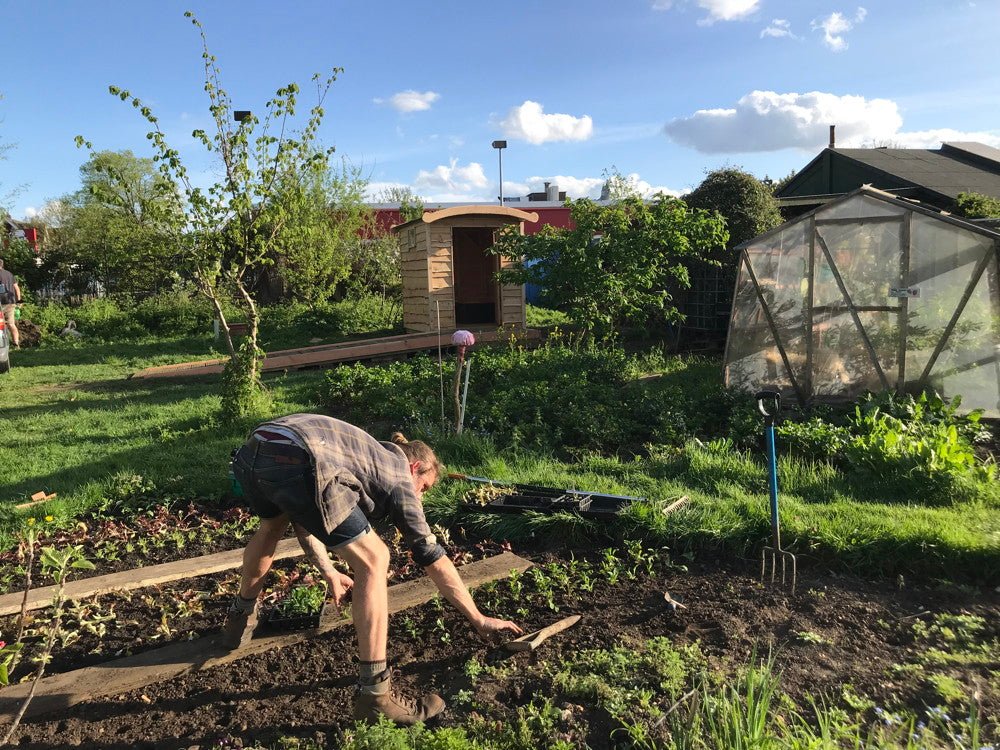 Person gardening near compost toilet in a field