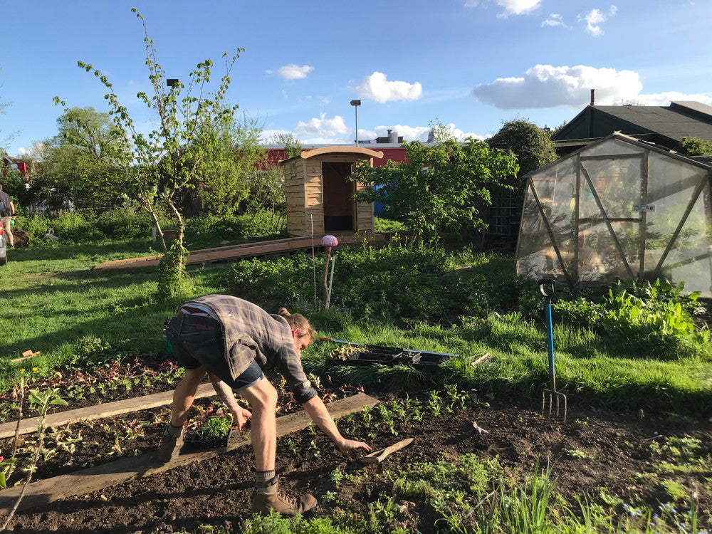 Person gardening near compost toilet in a field