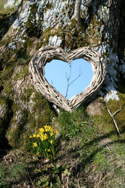 Miroir en bois flotté contre un arbre avec des fleurs