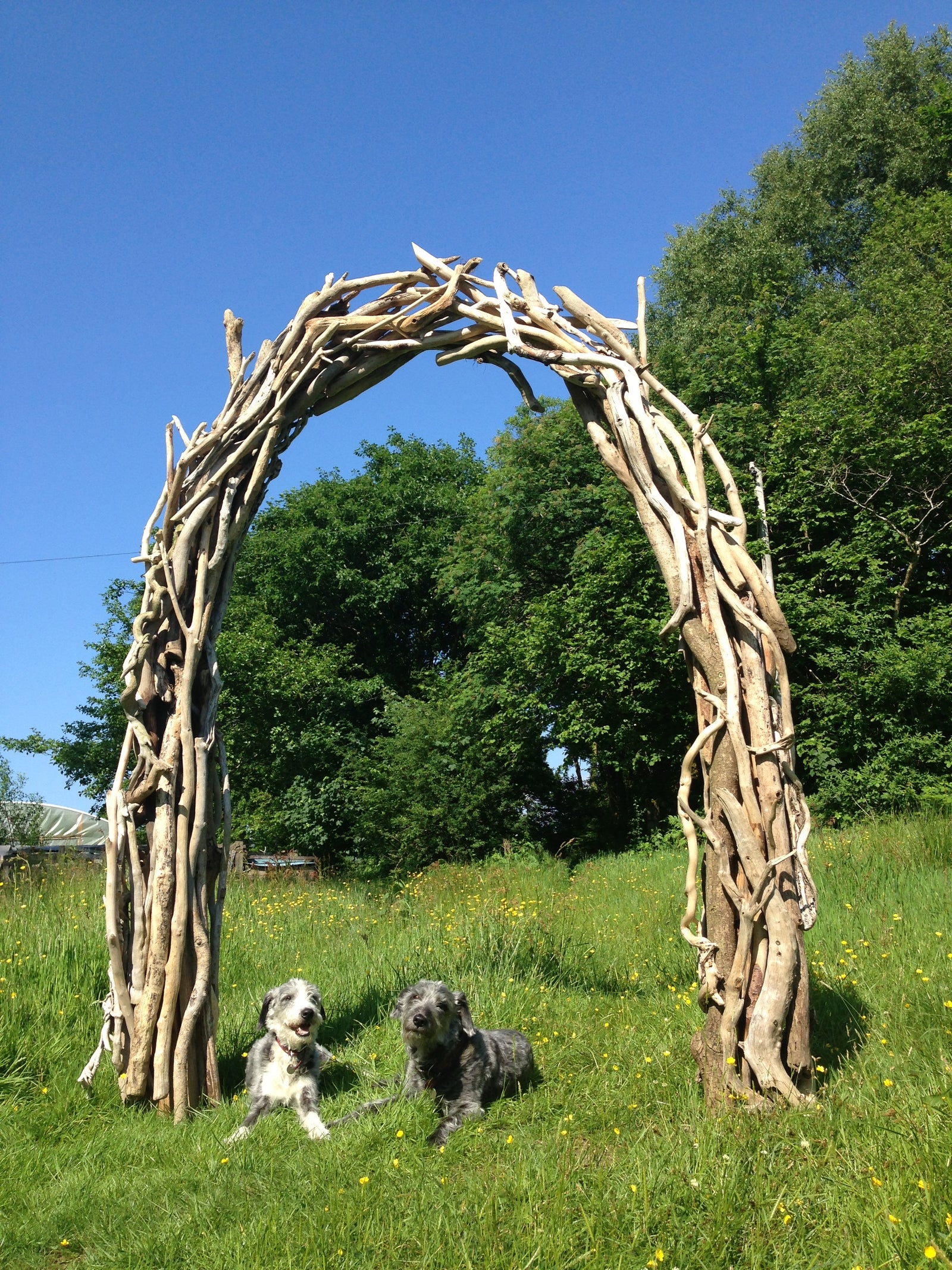 Handmade wooden arch made of branches in field — natural driftwood wedding arch, Wales