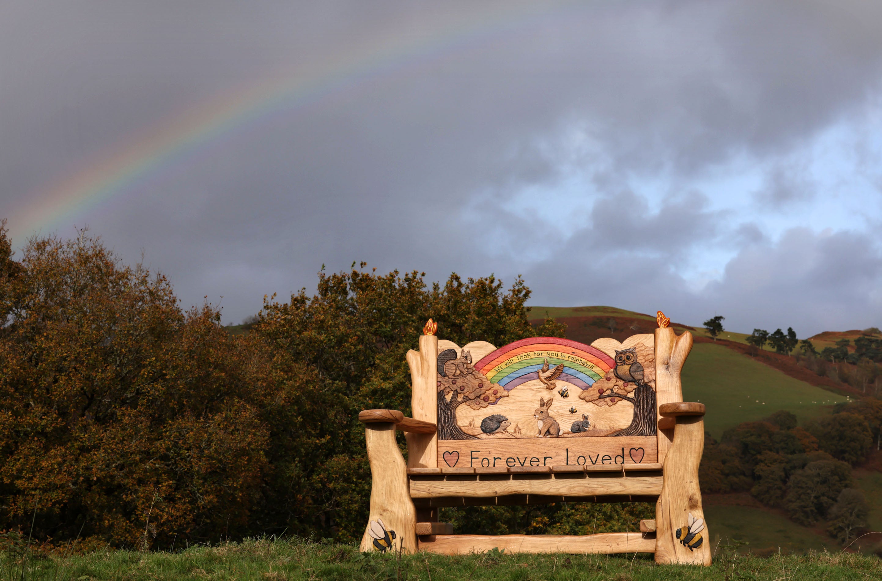 Wooden bench with a mural of a rainbow and animals under a rainbow in a natural setting.