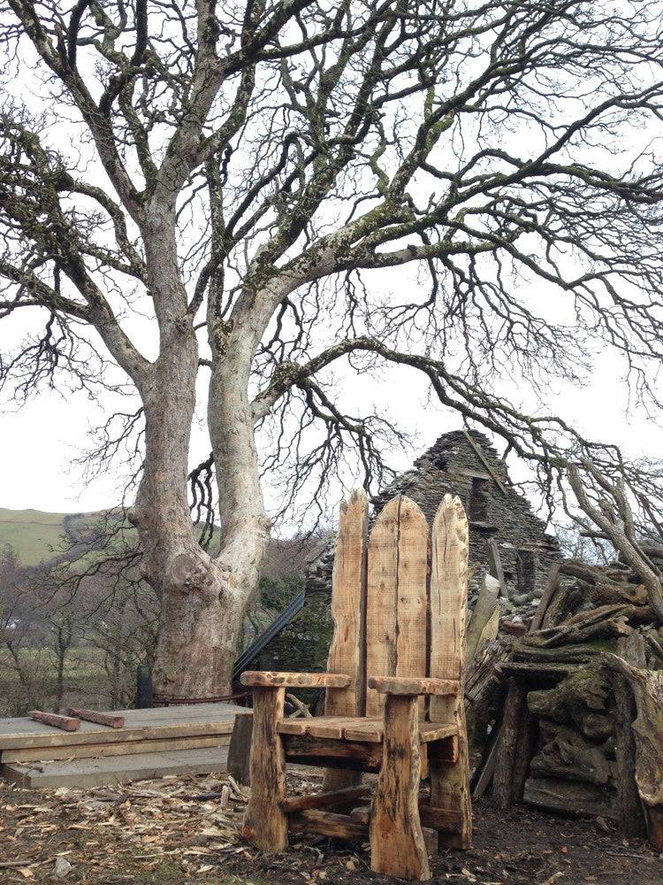 Trône géant de Shrek sous un grand arbre