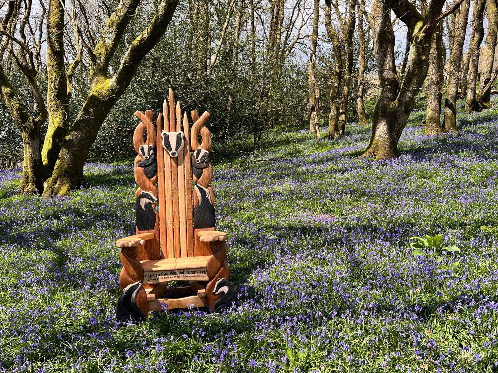 Storytelling Chairs and Thrones