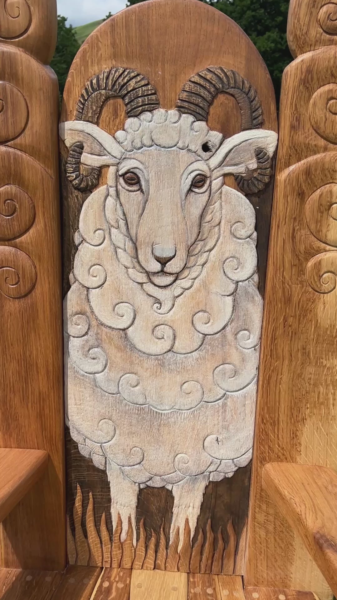 video of sheep chair for school
