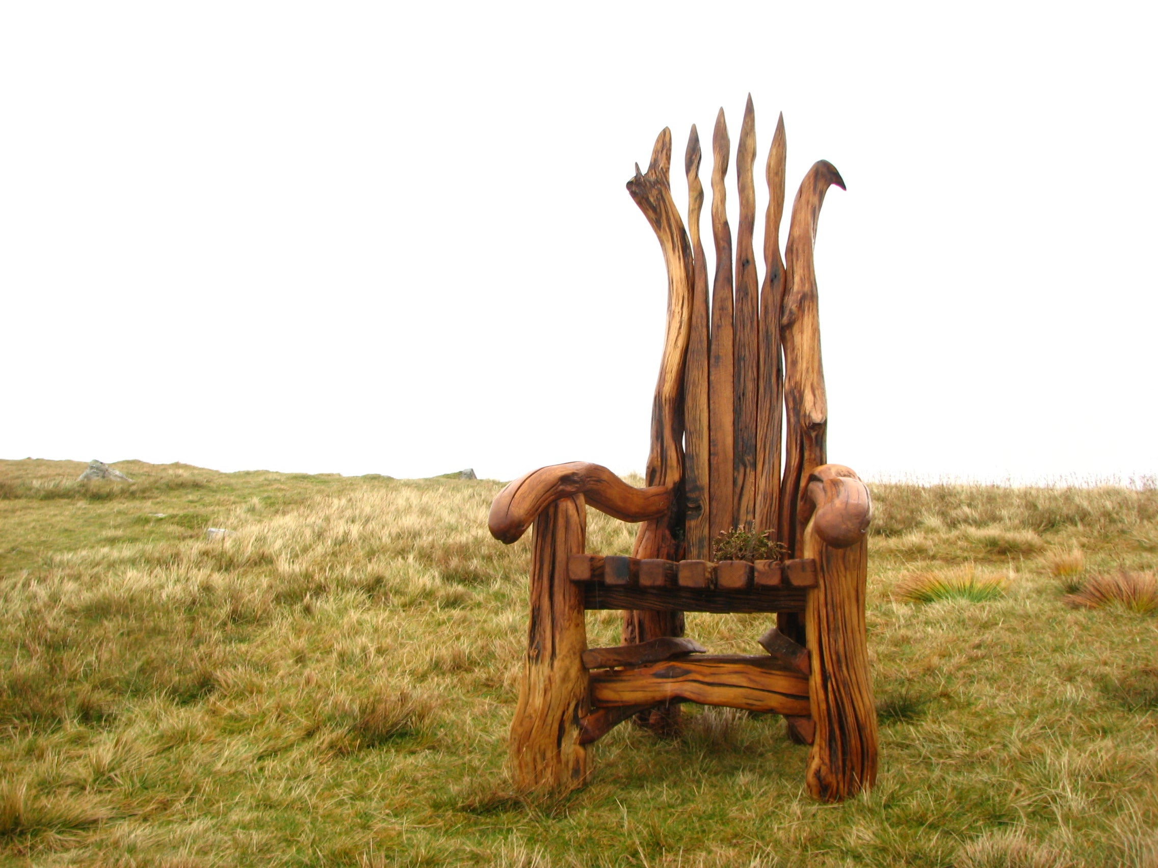 Tall wooden chair with unique branch design