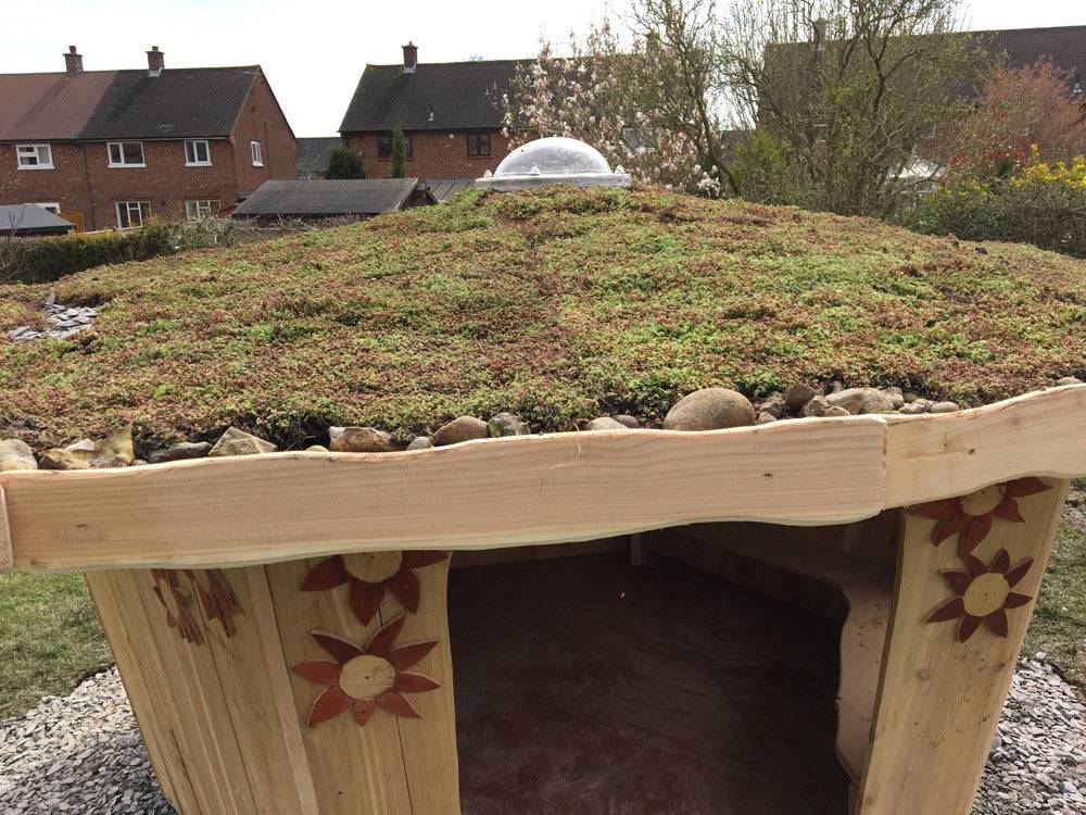 Sedum roof on handmade outdoor school shelter — bespoke timber frame structure, Wales