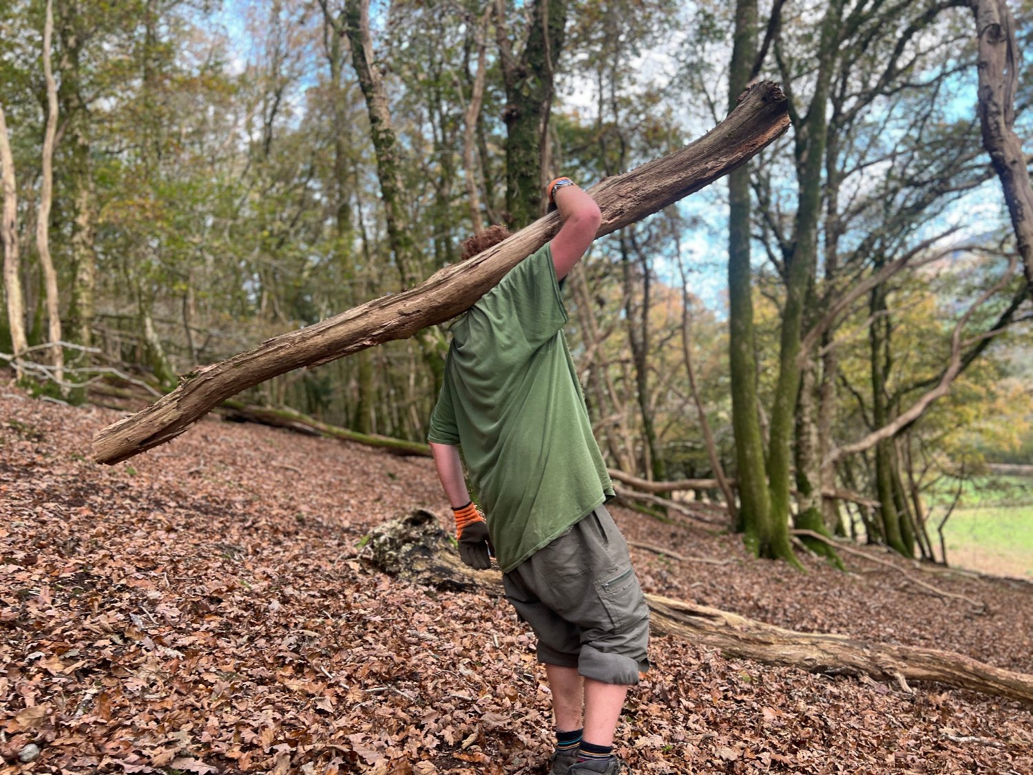 Craftsman carrying sustainably sourced wood from the Dyfi Valley forest for Free Range Designs, highlighting eco-friendly practices