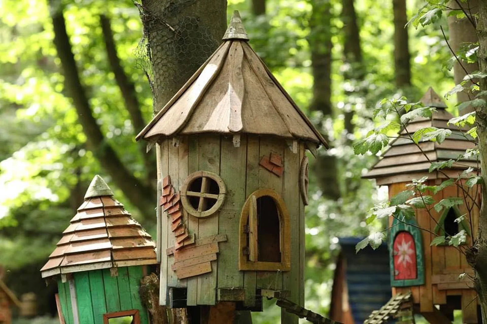 Rear view of tree fairy house showing reclaimed timber construction and organic bark branch railings