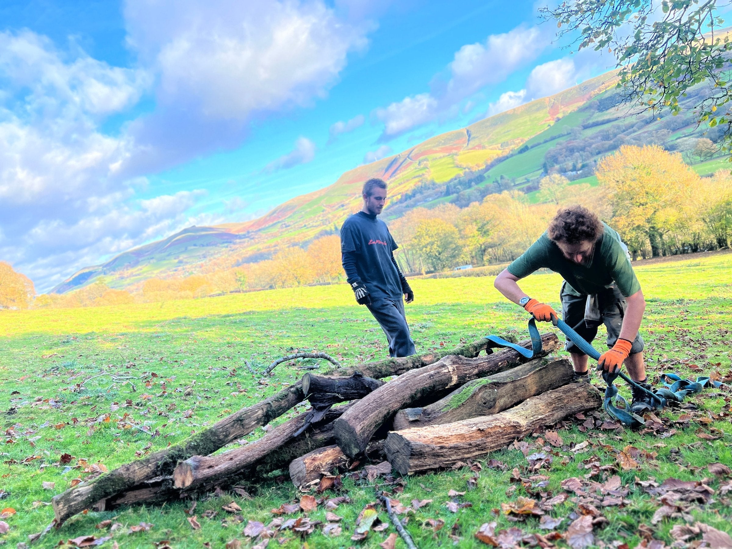 Craftsmen gathering sustainably sourced wood in Dyfi Valley for Free Range Designs, preparing natural materials for handcrafted furniture