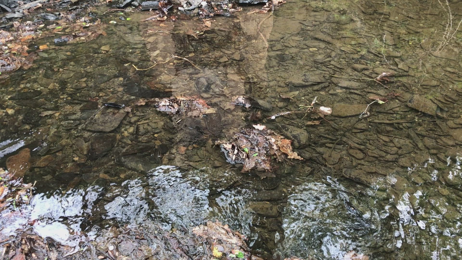 Clear stream with reflections