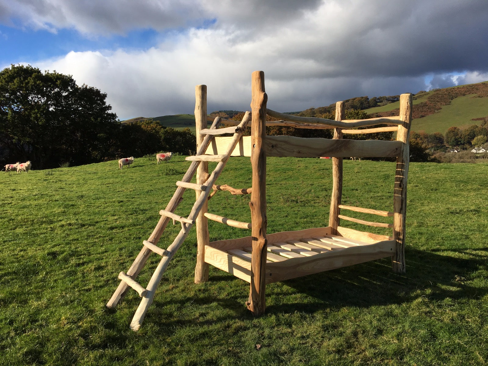 Driftwood bunk bed in scenic countryside setting